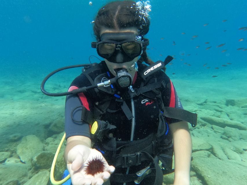Heraklion: Scuba Diving Experience for Beginners _Beach - Photos and videos: budget for memories, or skip them on purpose