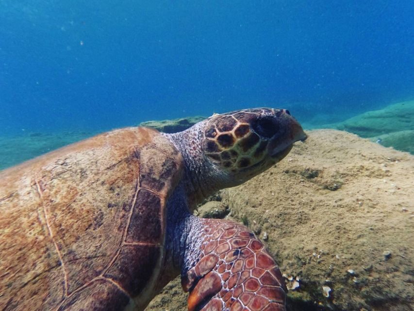 Heraklion: Scuba Diving Experience for Beginners _Beach - Price and value: how $81 adds up (and what costs extra)