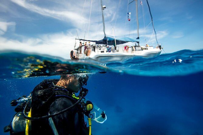Heraklion: Scuba Diving Experience for First-Timers - Key Highlights You’ll Feel Right Away