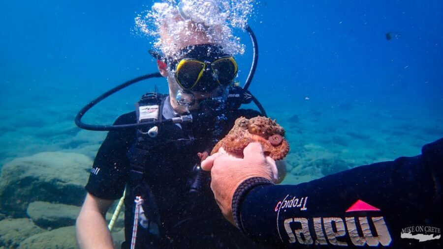 Heraklion: Scuba Diving Experience for First-Timers - Booking Smart: Small Details That Affect Your Day