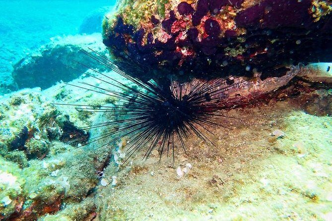 Heraklion: Scuba Diving Experience for First-Timers - Your Underwater Time: Depth, Control, and Taking Photos