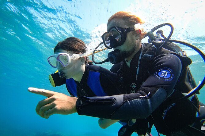 Heraklion: Scuba Diving Experience for First-Timers - How the Day Works: Van Ride, Ligaria, and Return Transfers
