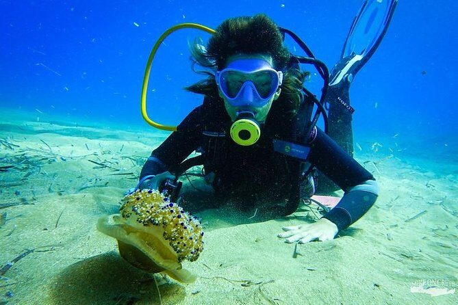 Heraklion: Scuba Diving Experience for First-Timers - Price and Value: Is $82 Worth It?