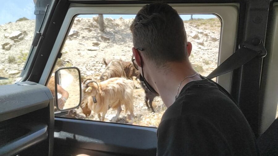 Heraklion: Self-Driving 4X4 Jeep Off-Road Tour with Lunch - Why this Heraklion off-road self-drive feels like more than a day tour