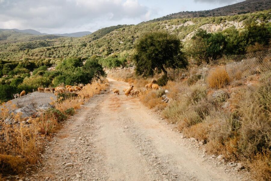 Heraklion: Self-Driving 4X4 Jeep Off-Road Tour with Lunch - Stop 1: Potamies off-road adventure and what you’ll feel behind the wheel