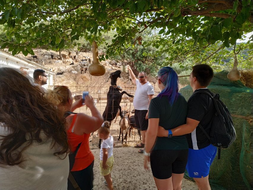 Heraklion: Self-Driving 4X4 Jeep Off-Road Tour with Lunch - Photo stop time near Kastamonitsa: quick views, then a real village break