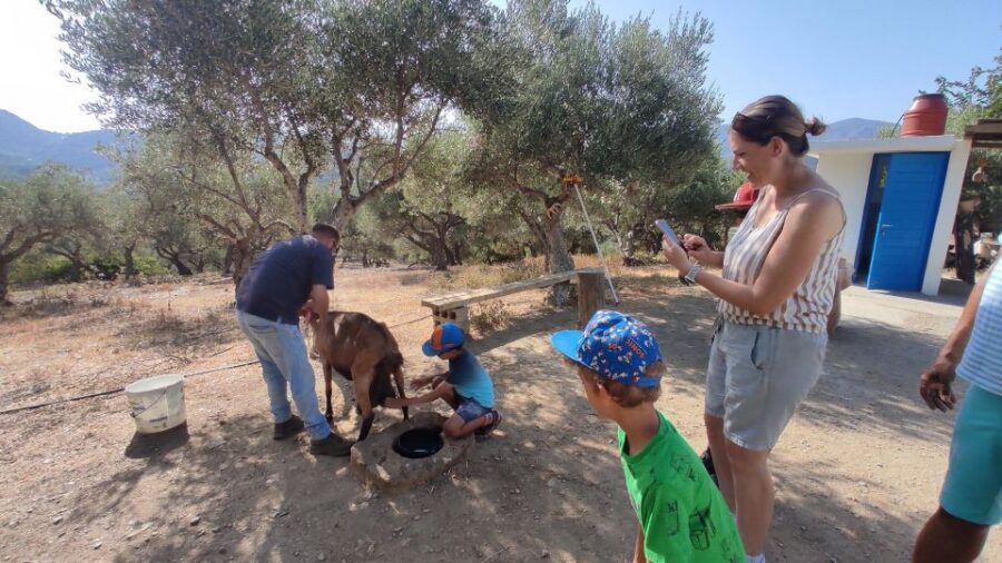 Heraklion: Self-Driving 4X4 Jeep Off-Road Tour with Lunch - Lasithi Plateau driving and the 2000-year-old plane tree