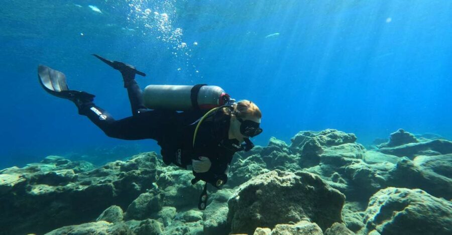 Heraklion: Try Scuba Diving For Beginners (1 dive) - Key highlights worth knowing