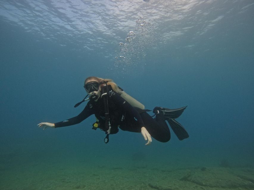 Heraklion: Try Scuba Diving For Beginners (1 dive) - Who this is for (and who should skip it)