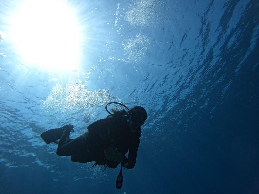 Heraklion: Try Scuba Diving For Beginners (1 dive) - Small groups (max 8): the difference you’ll feel fast