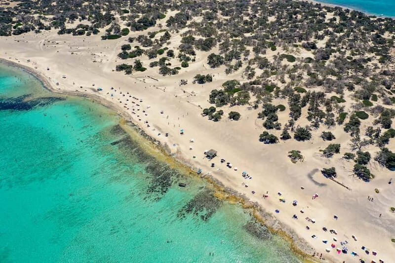 Heraklion:Cruise to Chrissi island natural park with pick up - Why Chrissi Island feels different from other Cretan sea trips