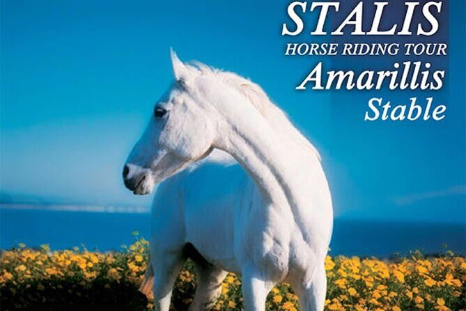 HORSE RIDING 1.5 hours mountains from area Hersonissos CRETE - Key takeaways before you book