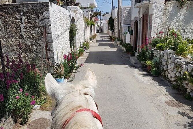 HORSE RIDING 1.5 hours mountains from area Hersonissos CRETE - What to wear and bring for a mountain horse ride