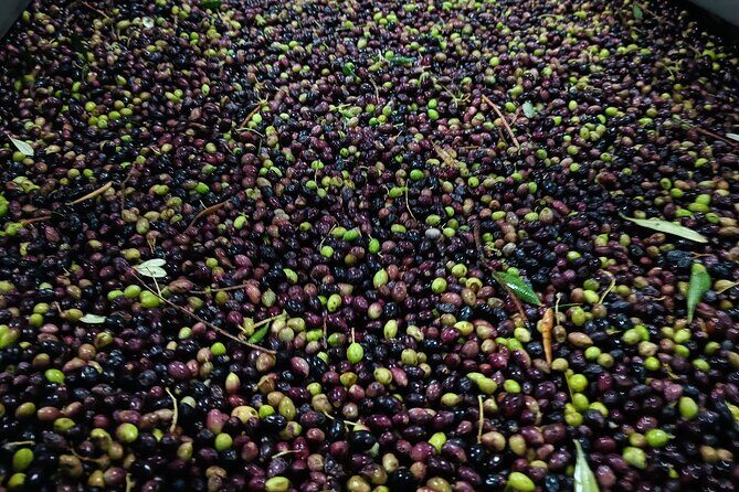 Kleanthi Olive Farm: Guided Tour with Local Delicacies Tasting - The tasting spread: olive oil meets Cretan comfort food