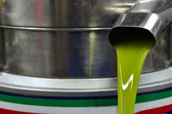 Kleanthi Olive Farm: Guided Tour with Local Delicacies Tasting - The onsite store: buying oil without the hard sell
