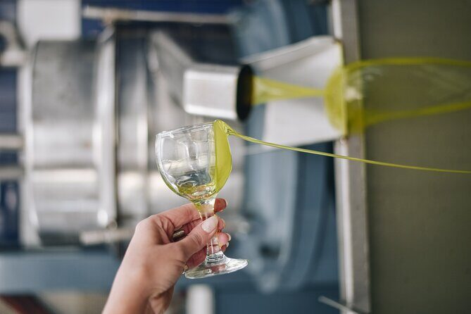Kleanthi Olive Farm: Guided Tour with Local Delicacies Tasting - Price and value: is it worth $25.34?