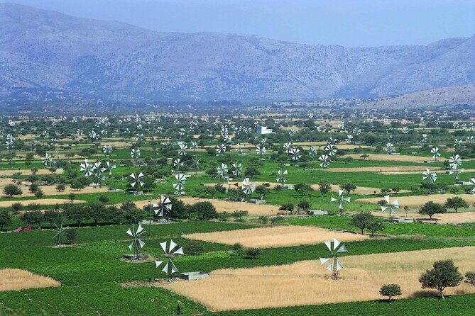 Knossos & lasithi plateau villages,Zeus's cave,&olive oil Mill - Lasithi Plateau Windmills: Old Tech With Real Agricultural Purpose