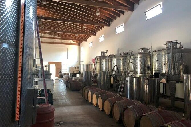 Manousakis Winery Shuttle Service Tour and Taste - What you actually taste: five wines, with local “support” snacks
