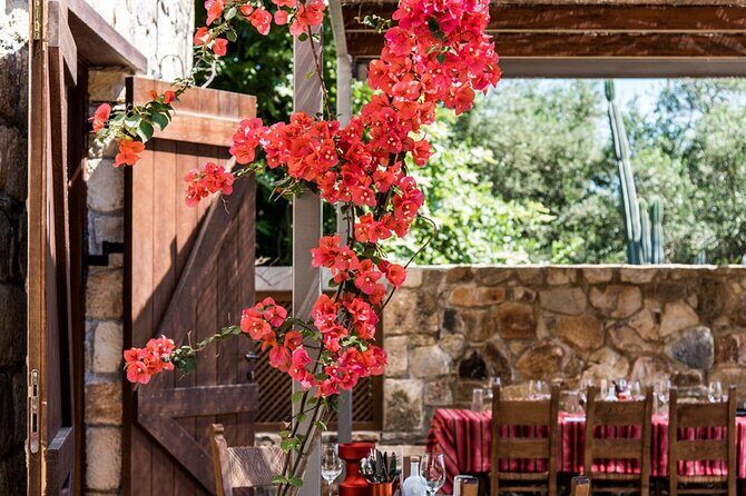 Manousakis Winery Shuttle Service Tour and Taste - Price and value: is $65.35 a fair deal?