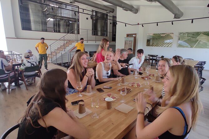 Matala Beach, Caves, and Winery Full-Day Tour from Heraklion - Stop 1: Heraklion Winery Visit and the Wine Tasting Choice