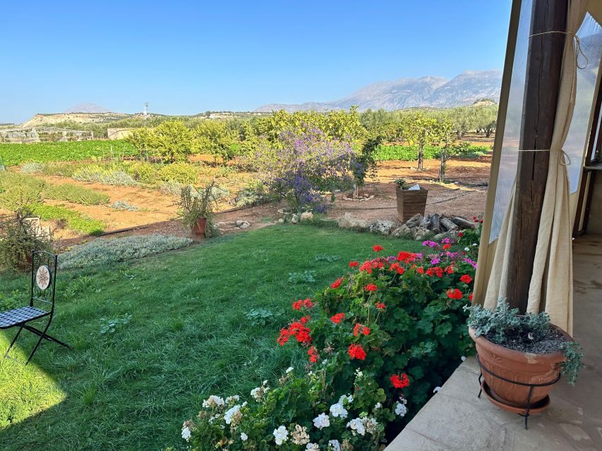 Moires: Cooking Class and Olive Oil Tasting at a Family Farm - The olive oil tasting that actually teaches you something