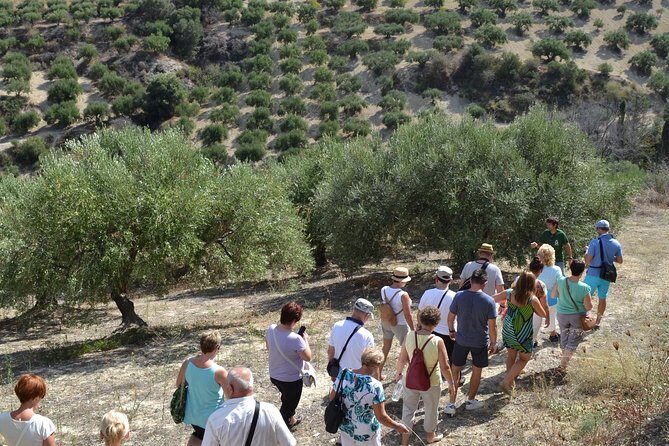 Olive Oil Tasting Tour - Where to go: meeting point basics for Epano Archanes