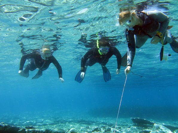 Olous – Guided Snorkelling Excursion to Discover Olous Sunken Ancient City - Key highlights worth your morning
