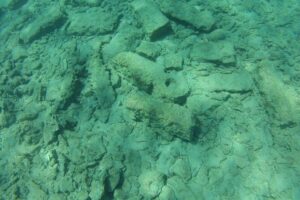 Olous – Guided Snorkelling Excursion to Discover Olous Sunken Ancient City - From Elounda to Olous: Timing, Pickup, and What the Morning Looks Like
