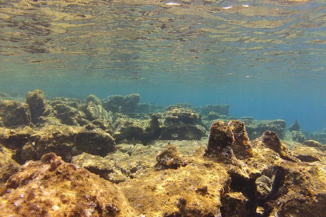 Olous – Guided Snorkelling Excursion to Discover Olous Sunken Ancient City - Underwater Expectations: What You’ll Actually See at 50–80 cm