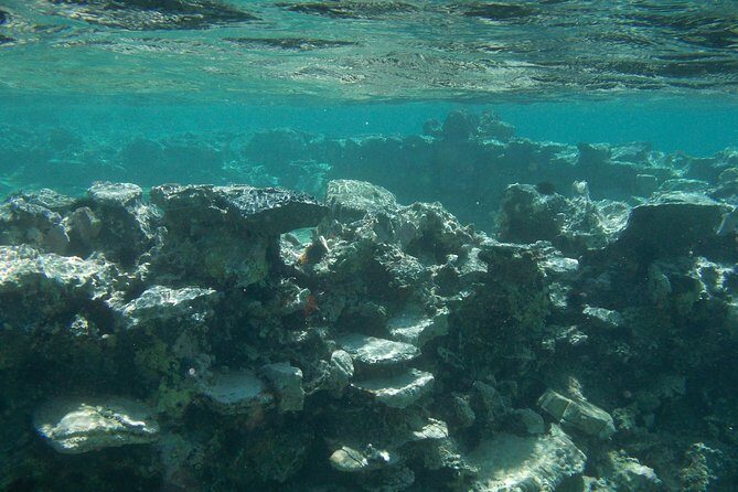 Olous – Guided Snorkelling Excursion to Discover Olous Sunken Ancient City - Sea Life Bonus: Fish and Small Encounters Along the Ruins