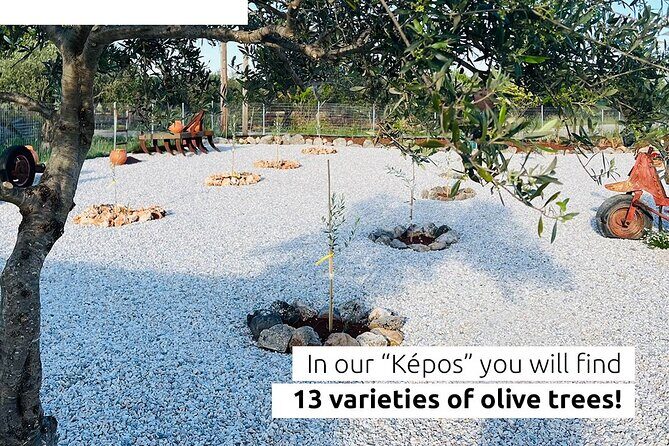 Pallada Semi-Private Olive Oil Tours in Sternes, Chania - Where This Sternes Tour Fits in Chania