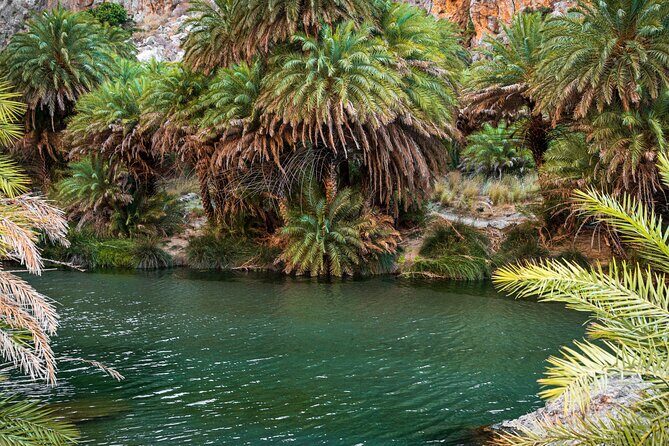 Preveli Beach and Plakias Full-Day Trip From Rethymno - Preveli Beach and Plakias: the reason to leave Rethymno