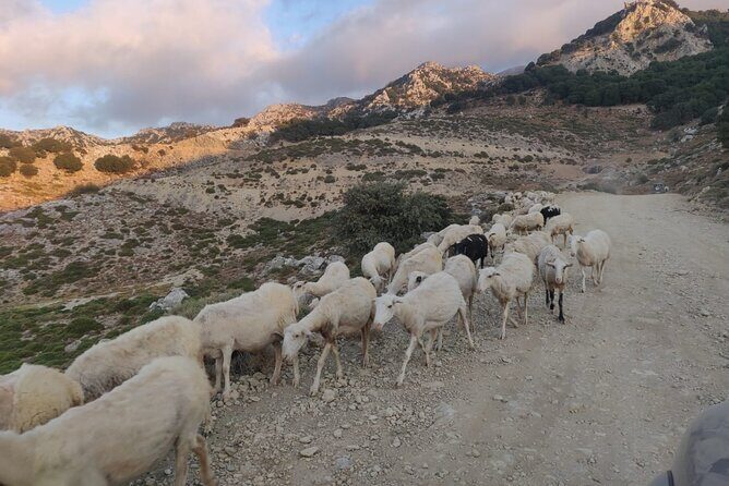 PRIVATE Jeep Safari 4x4 SUNSET (with Dinner) in Mountains CRETE - Price and Value: Is $130.83 Worth It?