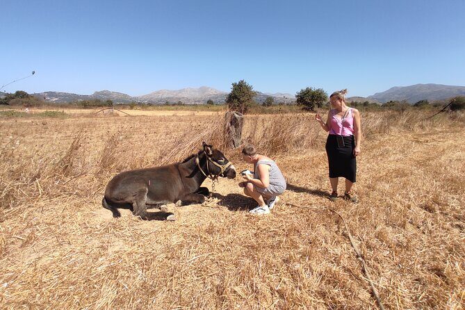 Private Jeep Tour - Zeus Cave - Cretan villages - Lasithi Plateau Windmills: White Sails and Water Irrigation History