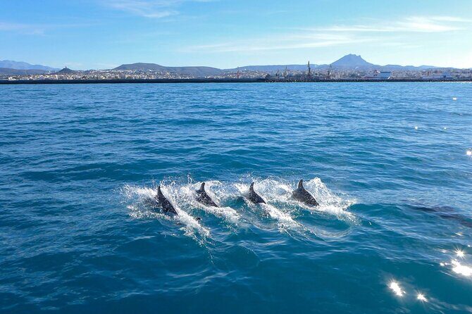Private luxury Escape Sailing, Snorkel and Lunch Cruise - Agios Georgios Bay snorkeling: protected water, included gear, and real time to swim