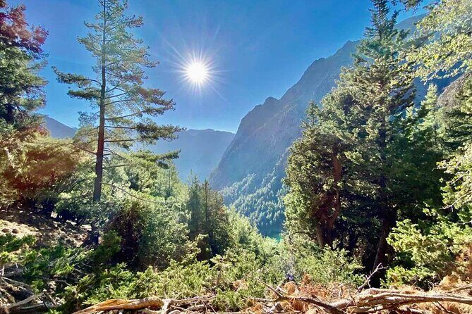 Private Roundtrip Transfer from Chania to Samaria Gorge Park - Price and value: what your $86.74 covers (and what it doesn’t)