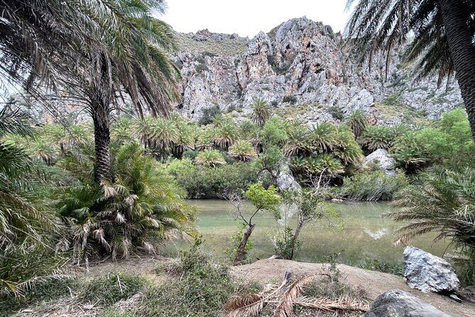 Private South Crete Full-Day Tour-Spili, Kourtaliotiko & Preveli - Kourtaliotiko Gorge: cliffs, vultures, and a quick waterfall option