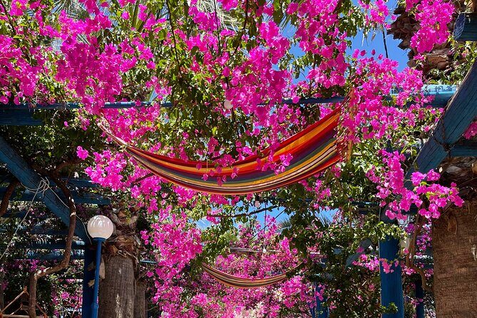 PRIVATE-South Crete-Matala Beach-Olive oil- Wine-Old Villages - A Private South Crete Day That Feels Like a Slow Drive With Purpose