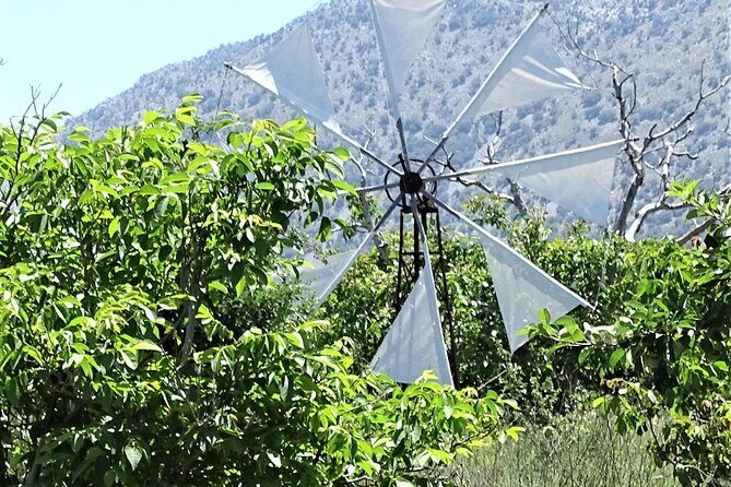 Private Tour-Knossos Palace Zeus Cave Olive Oil Mill & Wine - Gouves olive oil factory: modern pressing, traditional roots, real tastings