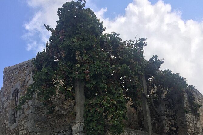 PRIVATE-Winery+Olive Oil Factory-Old Villages-Old Wind Mills - Winery visit: learn your wines, then decide how far to go