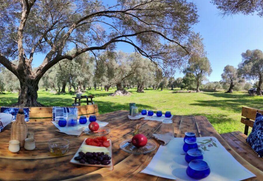 Rethymno: Olive Oil Tasting with Cretan Food Pairing - Should you book this olive oil tasting in an olive grove?