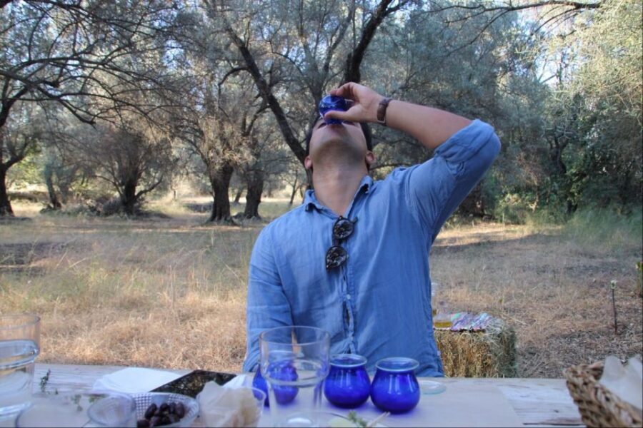 Rethymno: Olive Oil Tasting with Cretan Food Pairing - Harvest, extraction, and choosing better oil in Crete