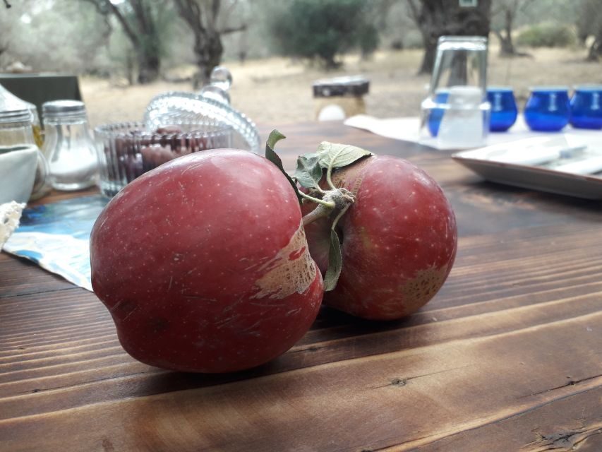 Rethymno: Olive Oil Tasting with Cretan Food Pairing - Price and value: what $107 gets you in a small group