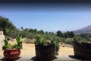Rethymno: Private Winery & Olive Oil Tasting Tour with Lunch - From olives to olive oil: the Kanakis mill experience