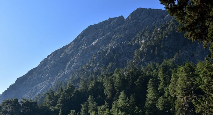 Samariá Gorge Hike: Day Excursion from Chania - Key things I’d bank on