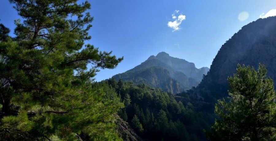Samariá Gorge Hike: Day Excursion from Chania - Stops, toilets, and drinking water: how the route keeps you moving