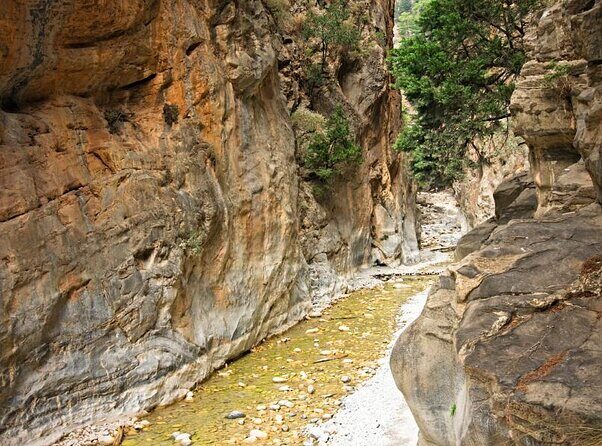 Samaria Gorge Hiking from Chania with Professional Hiking Guide - What it actually feels like: mostly downhill, rocky steps, and heat work
