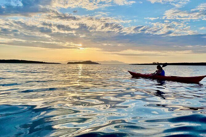Sea Kayak Tour of Chania’s Old Venetian Port - Pace, Comfort, and Who This Tour Fits Best