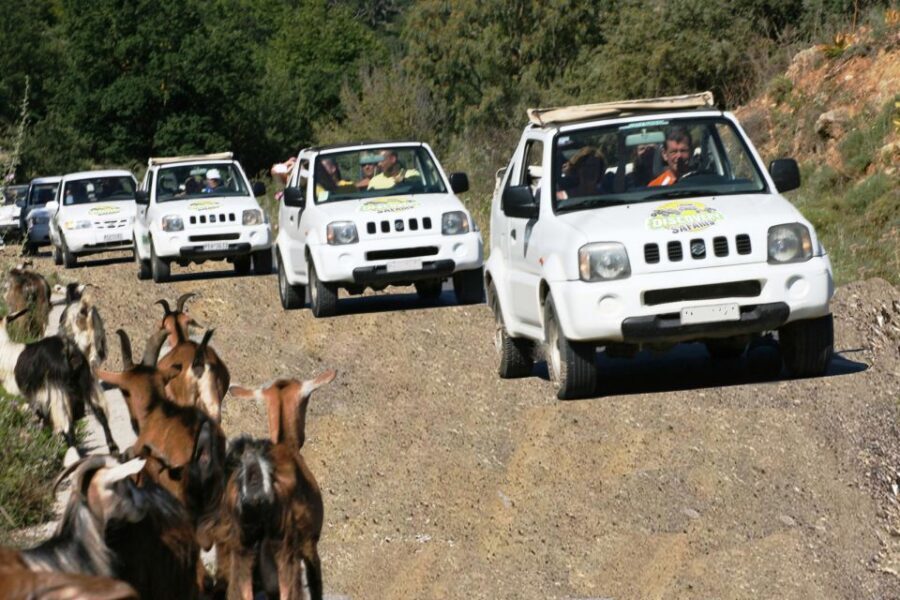 Self-Drive Jeep Safari to South Coast, Palm Beach & Canyons - Kourtaliotiko Gorge: a short photo stop with real canyon energy