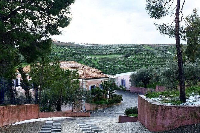Semi Private Wine and Olive Oil tour (Transfer & Lunch Incl.) - Why this semi-private setup works around Heraklion